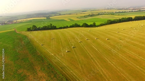 Wallpaper Mural Aerial view of fields and stacks of hay Torontodigital.ca