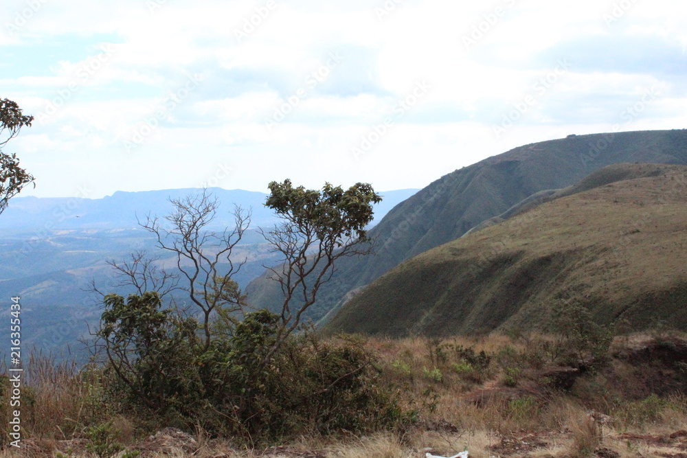 Arvores e pássaros muito próximos dos seres humanos. Topo do MUNDO. Moeda-MG Brasil Arvores e pássaros muito próximos dos seres humanos. Topo do MUNDO. Moeda-MG Brasil