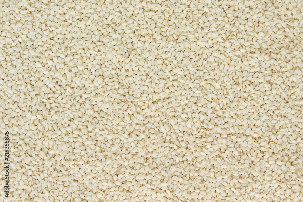 white sesame seed on white background white sesame seed on white background