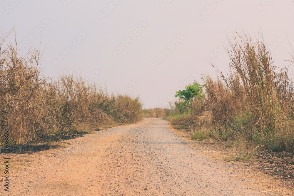 Naklejka premium road and pathway summer vintage nature background
