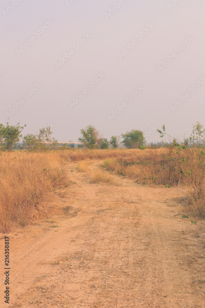 Obraz premium road and pathway summer vintage nature background