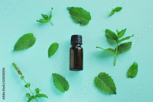 Peppermint essential oil bottle, peppermint leaves and flowers composition on mint color background.