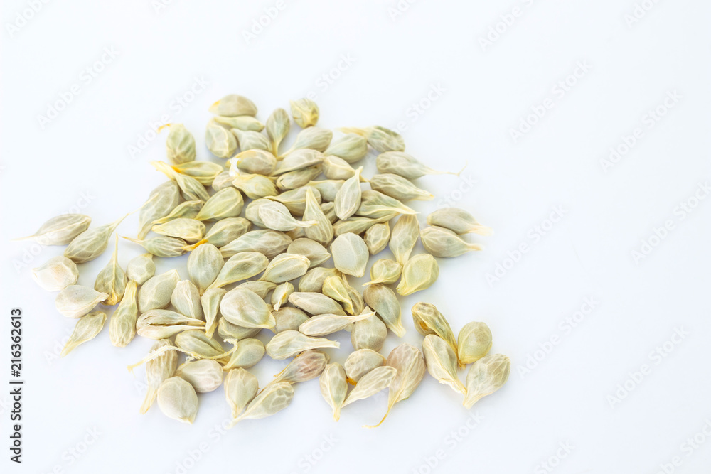 seed orange fruit fresh on white background seed orange fruit fresh on white background
