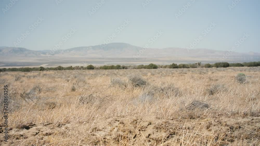 Desert Bushes And Mountains Desert Bushes And Mountains