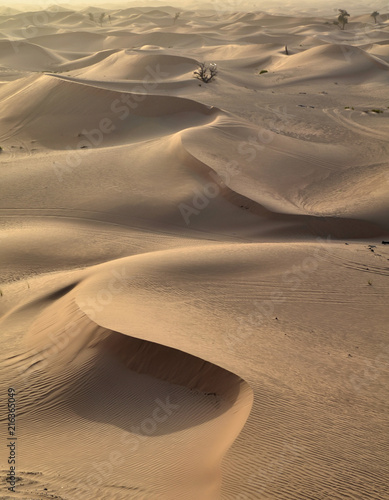 The dunes in the desert, Dubai, United Arab Emirates
