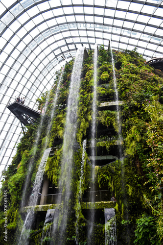 Garden by the bay photo