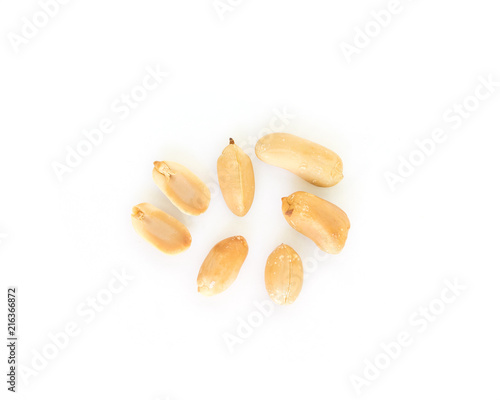 peanut on white background