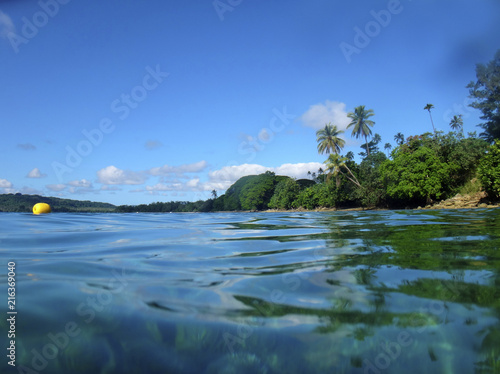 Sealife of Luganville, Espiritu Santo, Vanuatu