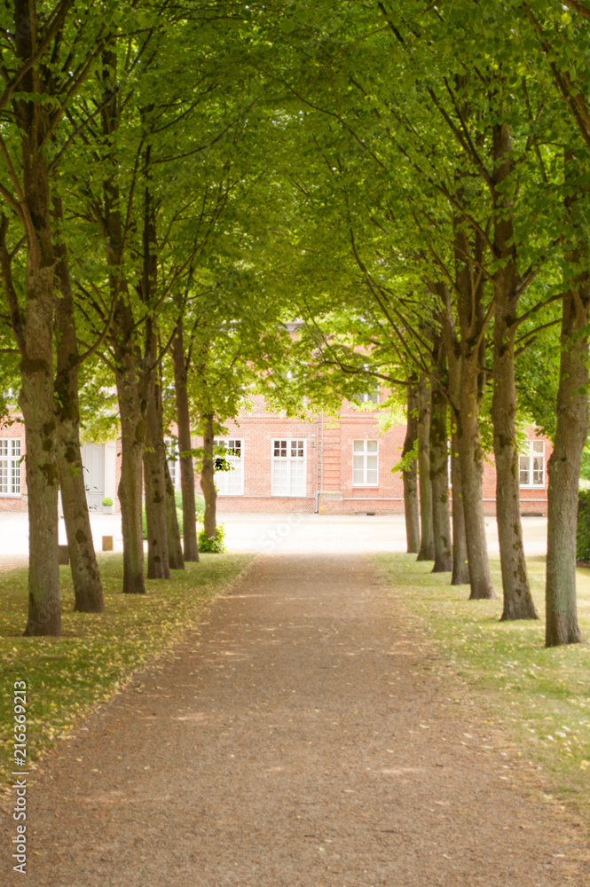Allee in Plön Allee in Plön