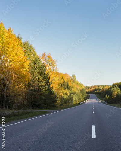 Winding road among a nordic forest with autumn leaves