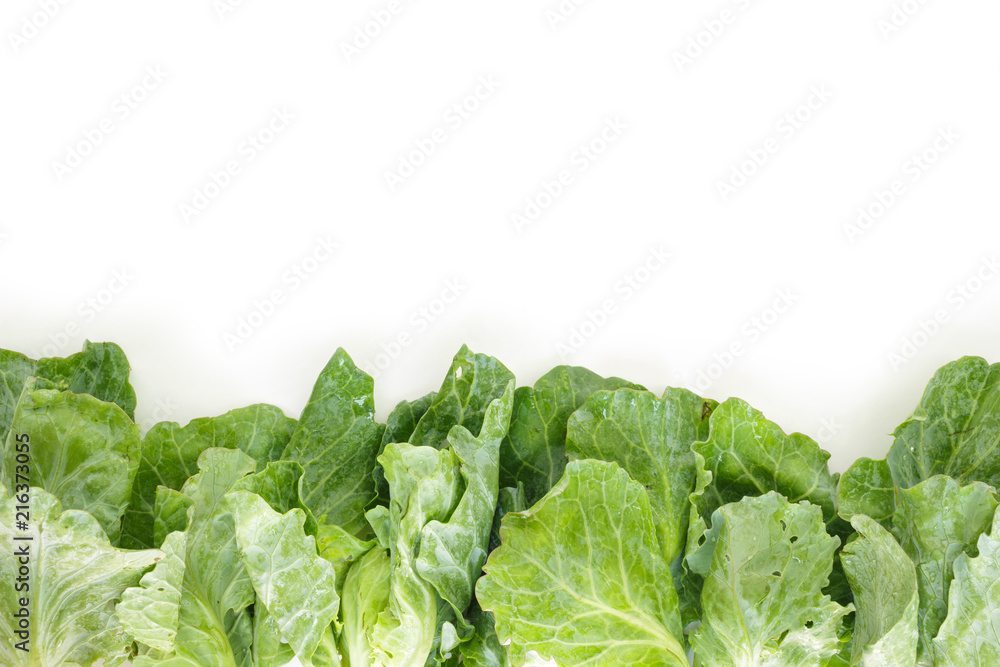 chinese kale frame, border top view on white background chinese kale frame, border top view on white background