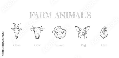 Farm animals hand drawing