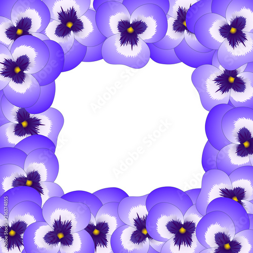 Violet Viola Garden Pansy F...