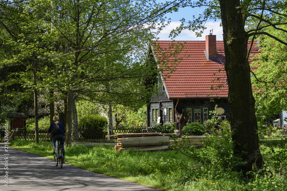 Fototapeta premium Haus im Spreewald