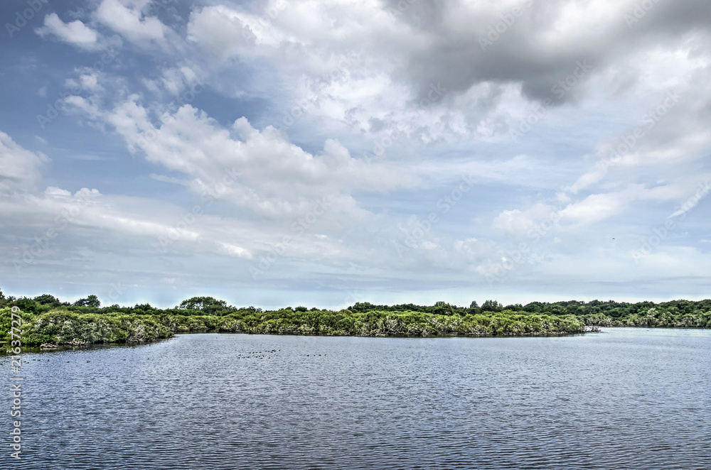 Tranquil lake Quackjeswater near Rockanje, The Netherlands under a summer sky with various kinds of clouds
