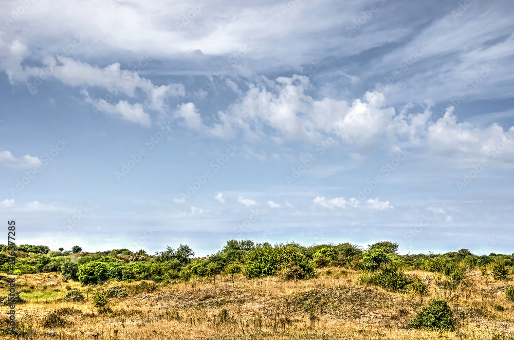 Landscape on the island of Voorne, The Netherlands, with dunes and bushes under a blue sky with fluffy clouds