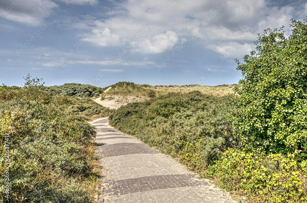Narrow brick road through a landscape with dunes and bushes near Rockanje, The Netherlands on a summer day
