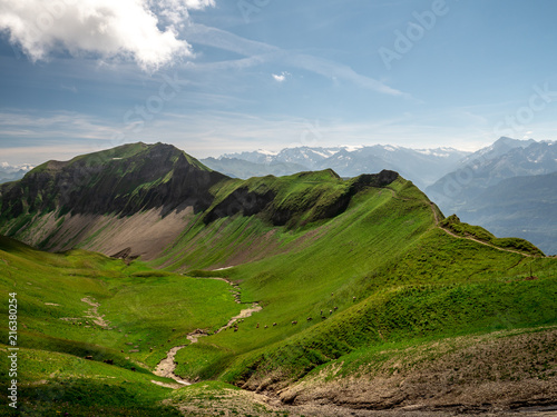 beautiful hiking path along a mountain during sunny summer day, ridge walk with cows