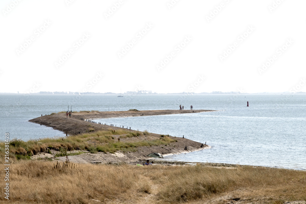 Peer, jetty at the coast of the Eastern Scheldt
