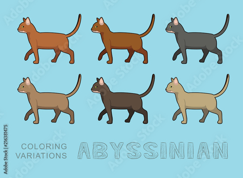 Cat Abyssinian Coloring Variations Vector Illustration