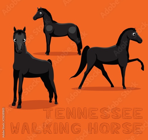 Vászonkép Horse Tennessee Walking Cartoon Vector Illustration