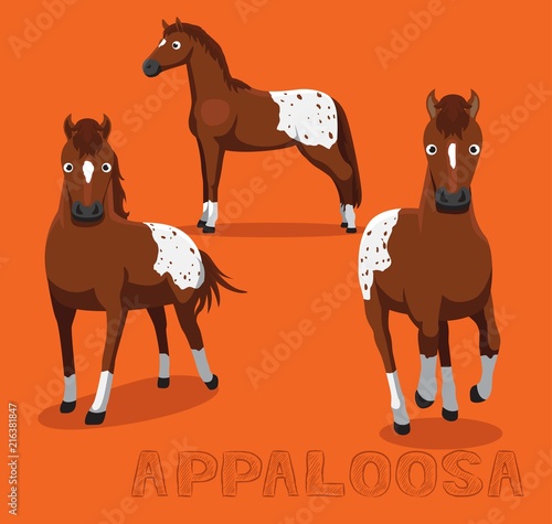 Horse Appaloosa Cartoon Vector Illustration