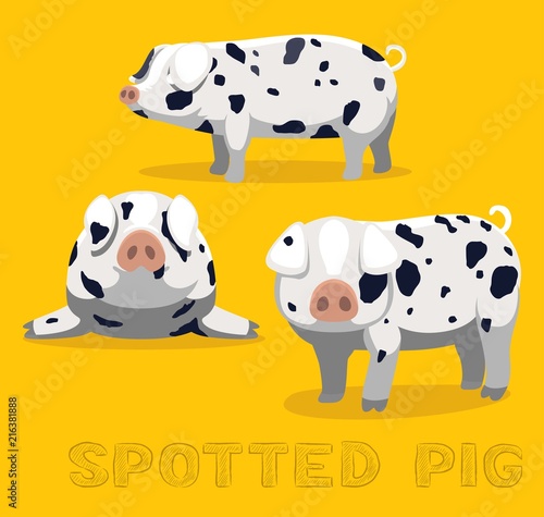 Pig Spotted Cartoon Vector Illustration