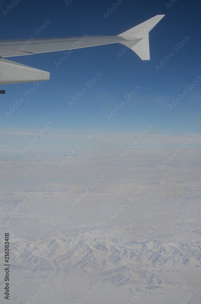 Fototapeta premium fly high