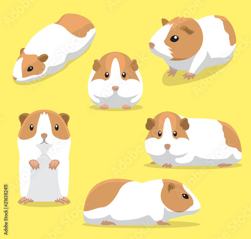 Cute Guinea Pig Poses Cartoon Vector Illustration