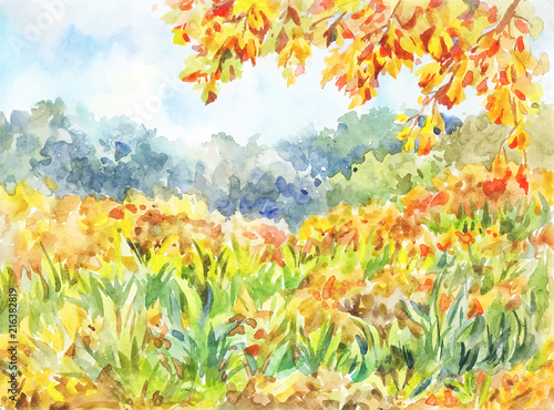 A simple autumn landscape with a meadow and orange leaves. Sunny warm day. Light hand-drawn illustration