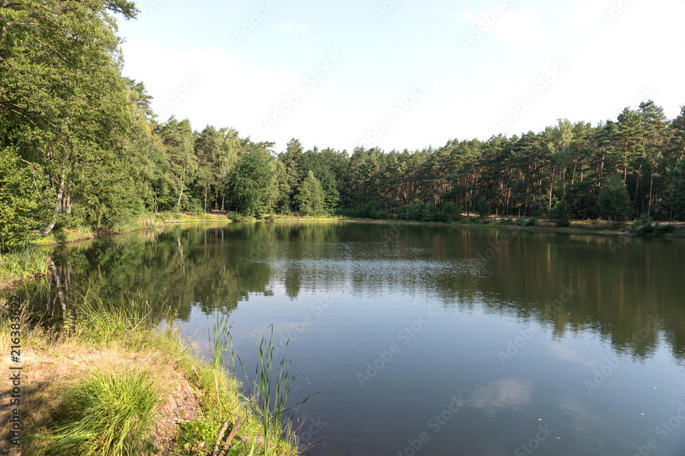 Beautiful forest lake with reflection of trees in the water