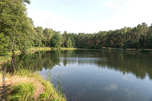Beautiful forest lake with reflection of trees in the water