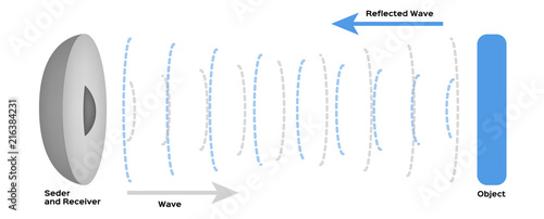 sonar infographic vector