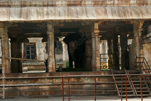 An elephant, an important inmate of the temple, Virupaksha Temple, Hampi, karnataka. Sacred Center.