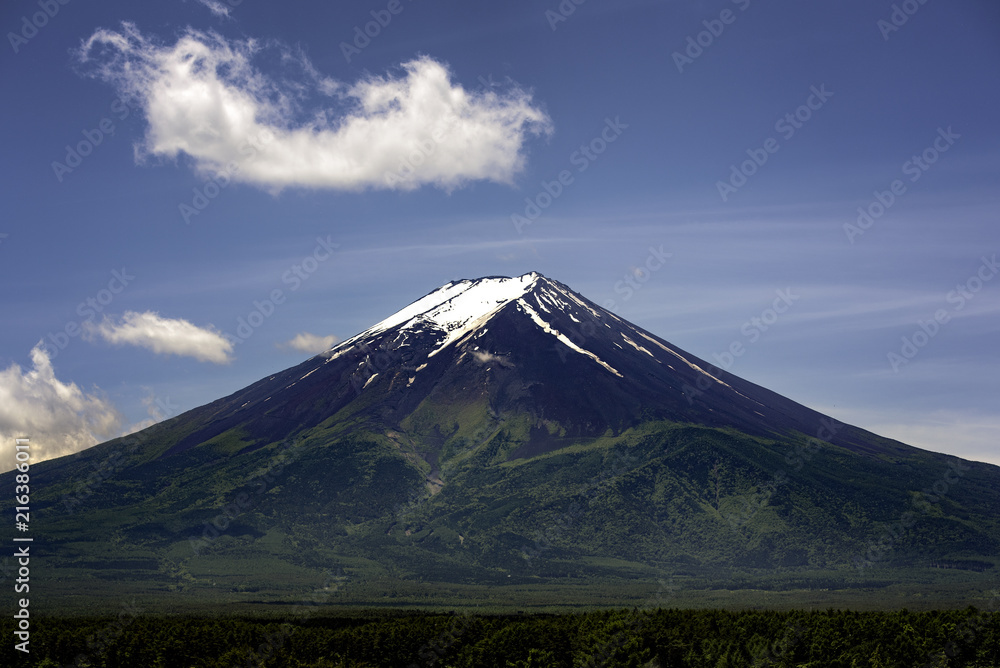 Fototapeta premium Fuji