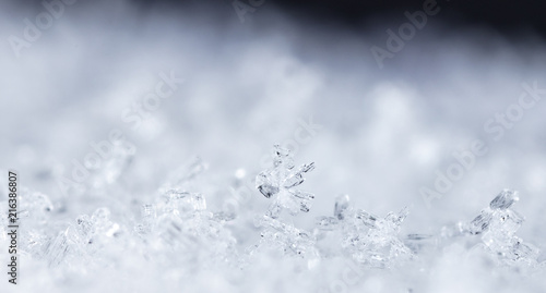 snow crystals, snow © vadim_fl