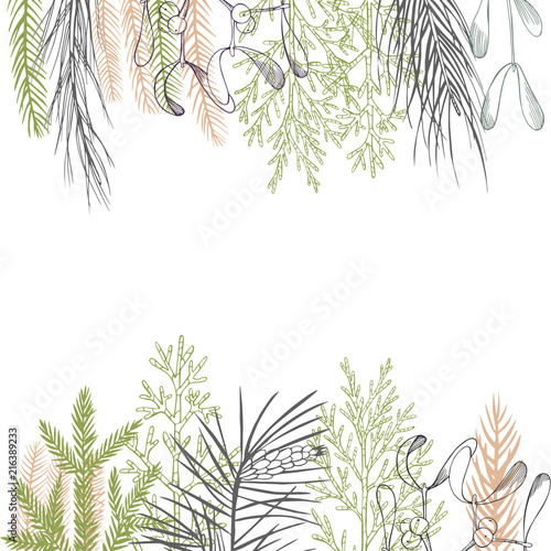 Vector background with Christmas plant. Hand-drawn ilustration.