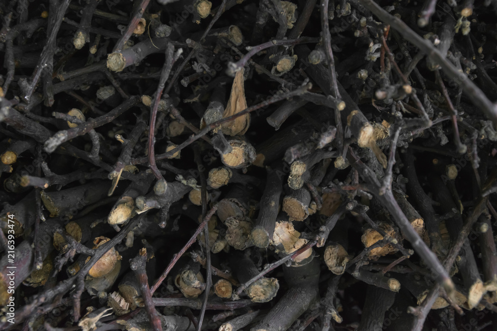 chopped wooden branches chopped wooden branches