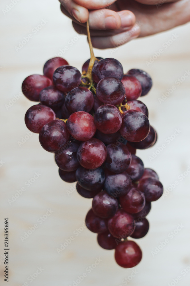 Fototapeta premium Bunch of grapes in hand