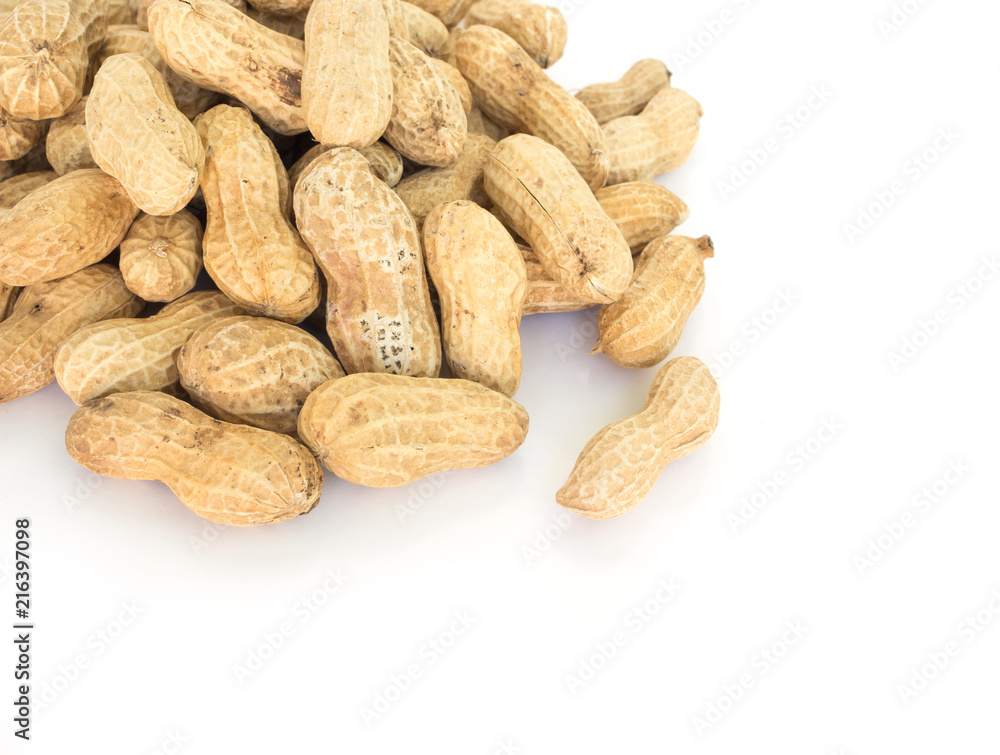 peanut in shell pile on white background peanut in shell pile on white background
