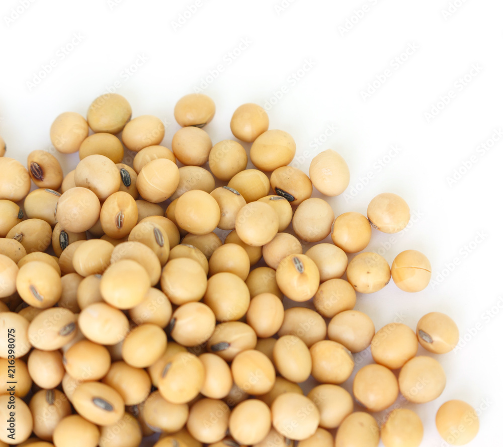 soy bean plant seed healthy vegetable food nature background soy bean plant seed healthy vegetable food nature background