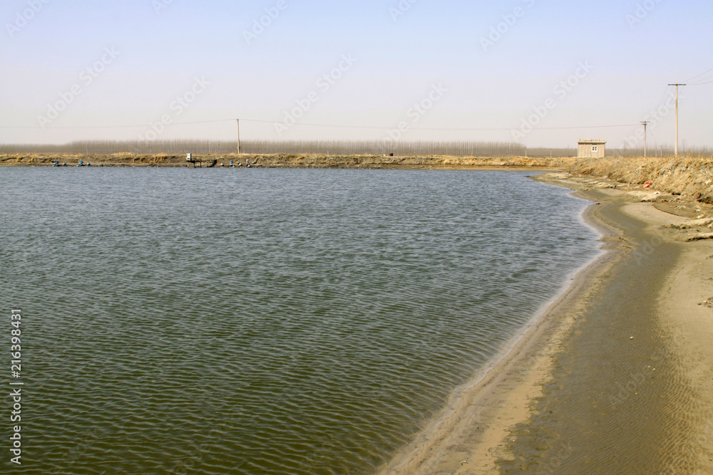 pond scenery in the rural areas
