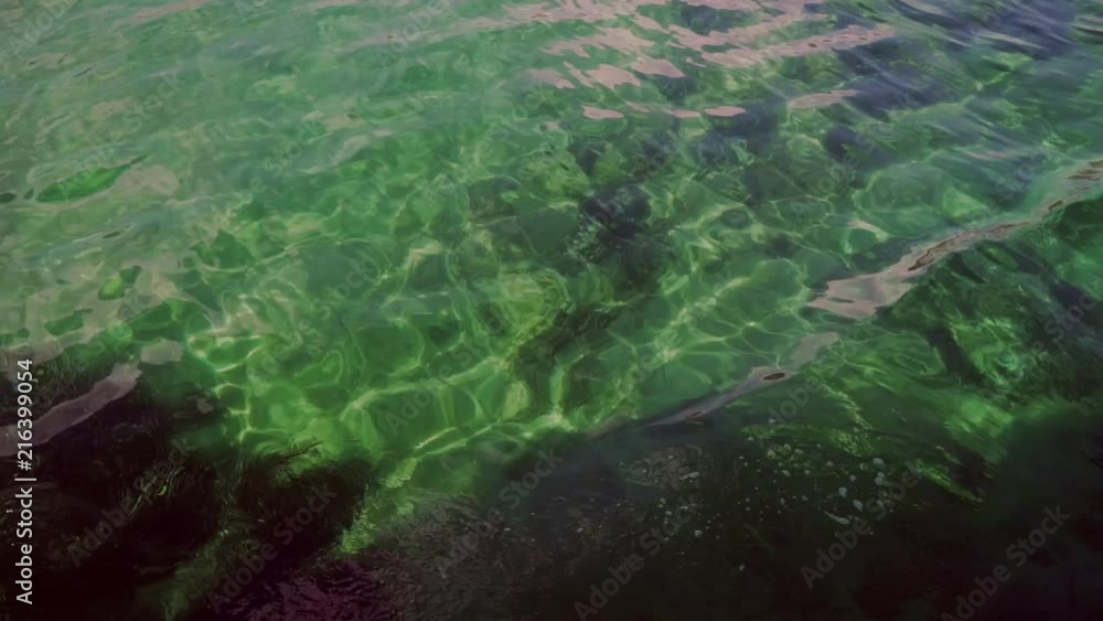 Steady shot from boat ride of clear teal ocean water. Shot above dark coral. Steady shot from boat ride of clear teal ocean water. Shot above dark coral.