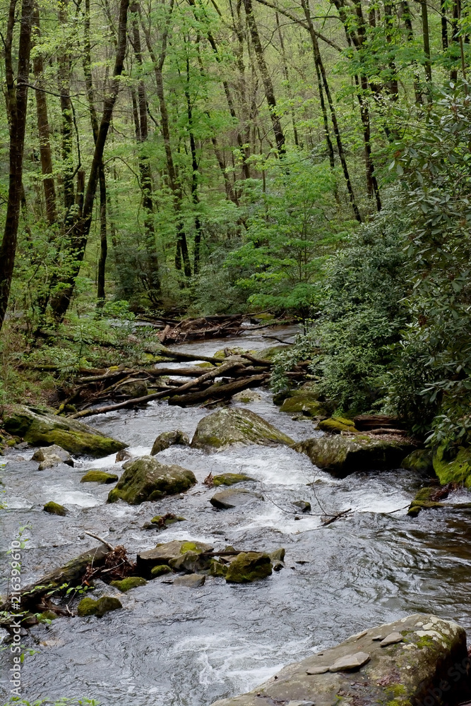Creek Creek