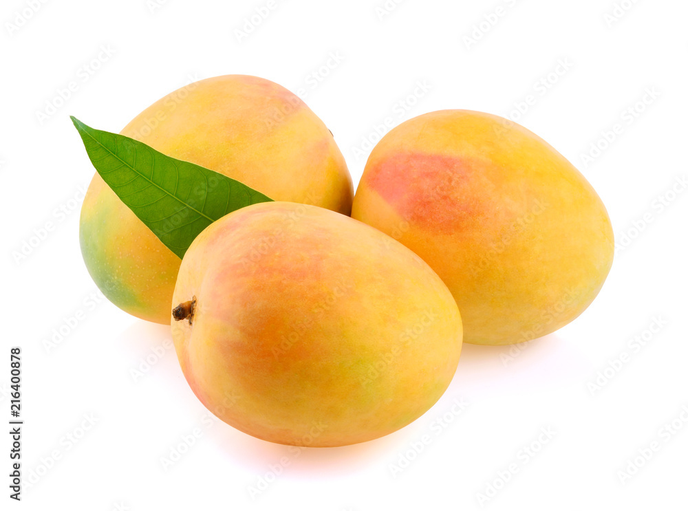 mango isolated on white background mango isolated on white background