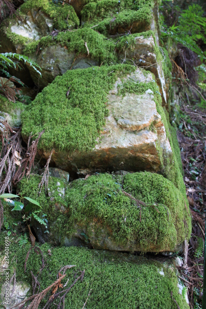 崩れかけた石垣