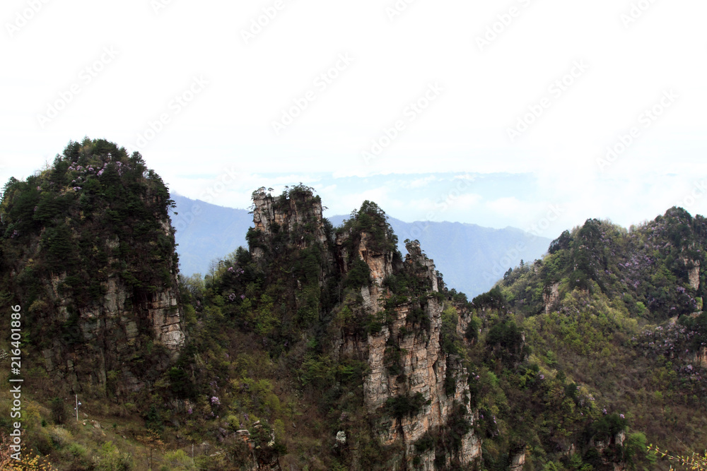 TianZi Mountain natural scenery