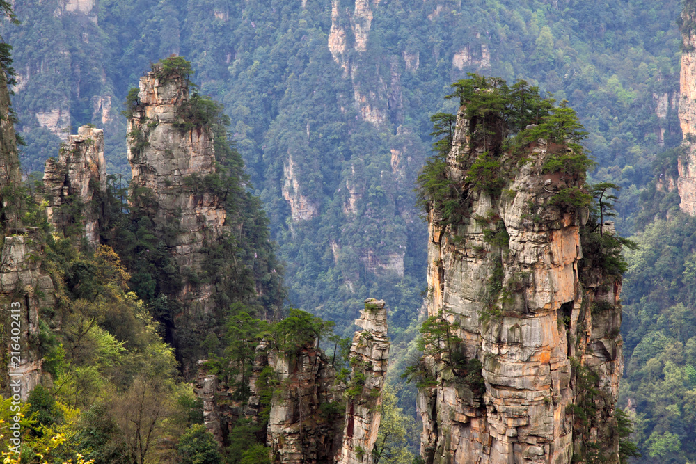 Naklejka premium TianZi Mountain natural scenery