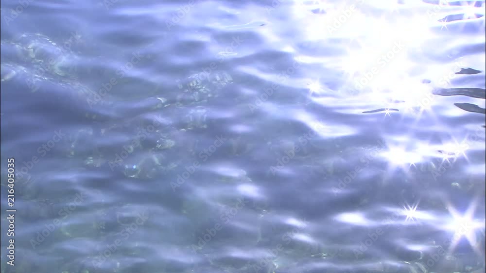 水面がキラキラ光が反射している