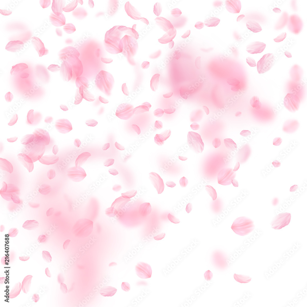 Sakura petals falling down. Romantic pink flowers gradient. Flying petals on white square background Sakura petals falling down. Romantic pink flowers gradient. Flying petals on white square background
